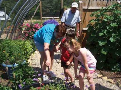 Agritourism Talk Leads to Herb Farm, Butterfly House Image